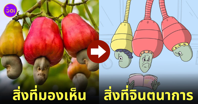 ภาพวาด ใบหน้า การ์ตูน สิ่งของต่าง ๆ