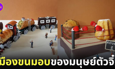 ขนมหวาน ขนมเค้ก แต่งหน้าเค้ก อาร์ต Matteo Stucchi