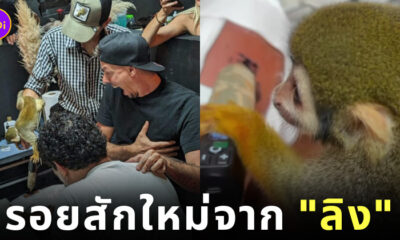 ลิง ช่างสักลาย รอยสัก Funky Matas