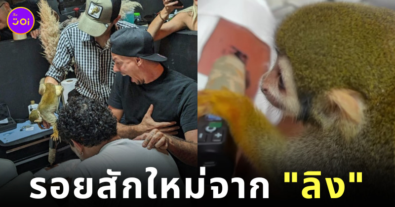 ลิง ช่างสักลาย รอยสัก Funky Matas