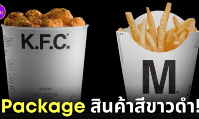 Package สินค้าแบรนด์ สีขาวดำ Monochrome ศิลปิน Kunel Gaur