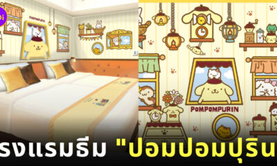 Mitsui Garden Hotels โรงแรมญี่ปุ่น ธีมปอมปอมปุริน Pompompurin ซานริโอ