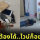 โจรกินไวน์เพลินจนหลับ