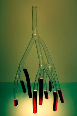 etienne meneau StrangeCarafes no8