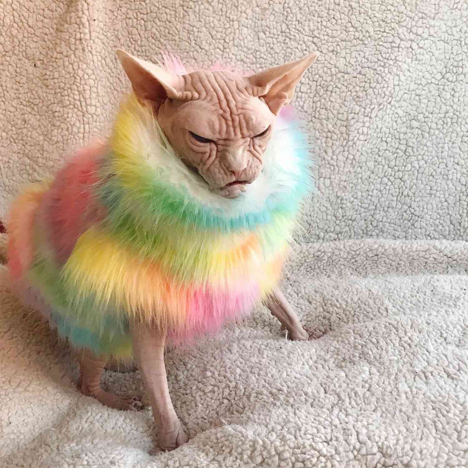 loki