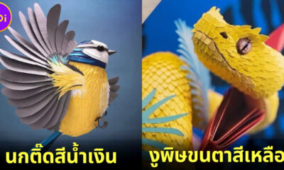 ส่อง 20 ภาพผลงานศิลปะกระดาษ 3 มิติสุดเจ๋ง! โดยศิลปินกระดาษชาวอังกฤษ "ลิซ่า ลอยด์ (Lisa Lloyd)"