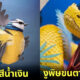 ส่อง 20 ภาพผลงานศิลปะกระดาษ 3 มิติสุดเจ๋ง! โดยศิลปินกระดาษชาวอังกฤษ "ลิซ่า ลอยด์ (Lisa Lloyd)"