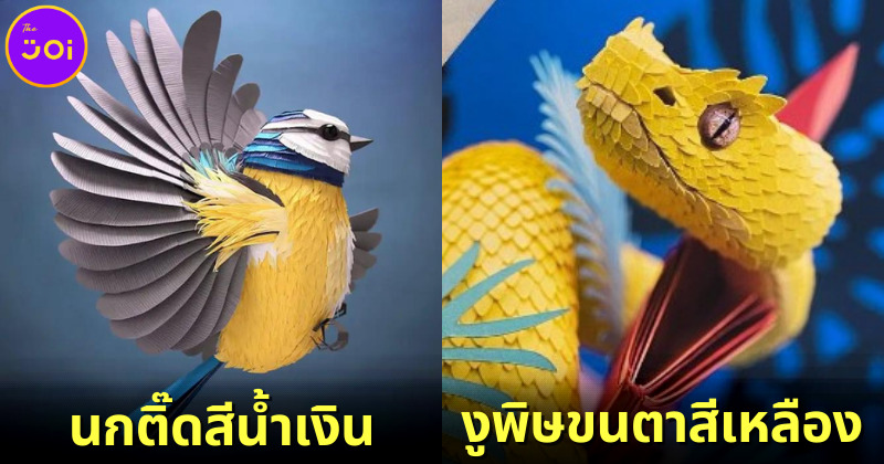 ส่อง 20 ภาพผลงานศิลปะกระดาษ 3 มิติสุดเจ๋ง! โดยศิลปินกระดาษชาวอังกฤษ "ลิซ่า ลอยด์ (Lisa Lloyd)"