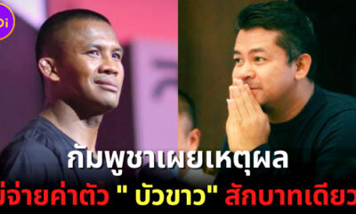 เดือดแทน! กัมพูชาเผยเหตุผลไม่จ่ายค่าตัว "บัวขาว บัญชาเมฆ" แม้แต่บาทเดียว