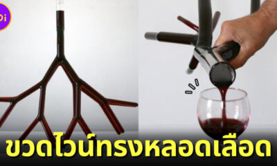 น่ากินหรือน่ากลัว! เมื่อศิลปินแปลงโฉมขวดไวน์ธรรมดาให้เป็นทรงหลอดเลือดและรากไม้