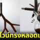 น่ากินหรือน่ากลัว! เมื่อศิลปินแปลงโฉมขวดไวน์ธรรมดาให้เป็นทรงหลอดเลือดและรากไม้