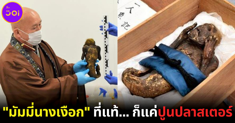 โดนแกงทั้งวัด! "มัมมี่นางเงือก" ในญี่ปุ่นที่แท้ก็แค่ปูนปลาสเตอร์ แต่พระยันตั้งโชว์ต่อเพื่อดึงดูดคนมาเที่ยว