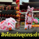 ห้างจูร่งจับสิงโตแต่งเป็นกระต่ายเชิดตรุษจีน 1