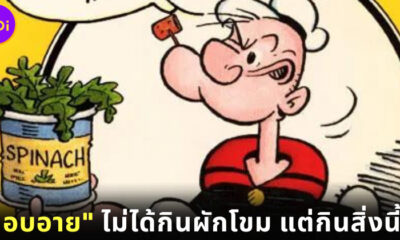 อวสานวัยเด็ก! ป๊อบอาย ยอดกะลาสีเรือไม่ได้กินผักโขม แต่กินสิ่งนี้!