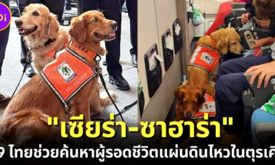 รู้จัก "เซียร่า-ซาฮาร่า" สุนัข K9 สุดน่ารักตัวแทนประเทศไทยไปปฏิบัติภารกิจค้นหาผู้รอดชีวิตจากแผ่นดินไหวตุรเคีย