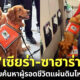รู้จัก "เซียร่า-ซาฮาร่า" สุนัข K9 สุดน่ารักตัวแทนประเทศไทยไปปฏิบัติภารกิจค้นหาผู้รอดชีวิตจากแผ่นดินไหวตุรเคีย