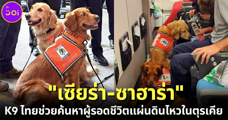 รู้จัก "เซียร่า-ซาฮาร่า" สุนัข K9 สุดน่ารักตัวแทนประเทศไทยไปปฏิบัติภารกิจค้นหาผู้รอดชีวิตจากแผ่นดินไหวตุรเคีย