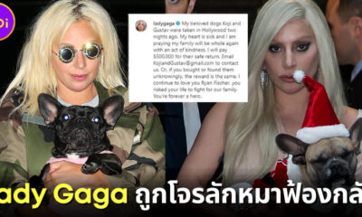 "เลดี้ กาก้า (Lady Gaga)" ถูกคนลักพาตัวน้องหมาฟ้องเรียกค่าเสียหาย เพราะไม่ให้เงินรางวัลพบหมา