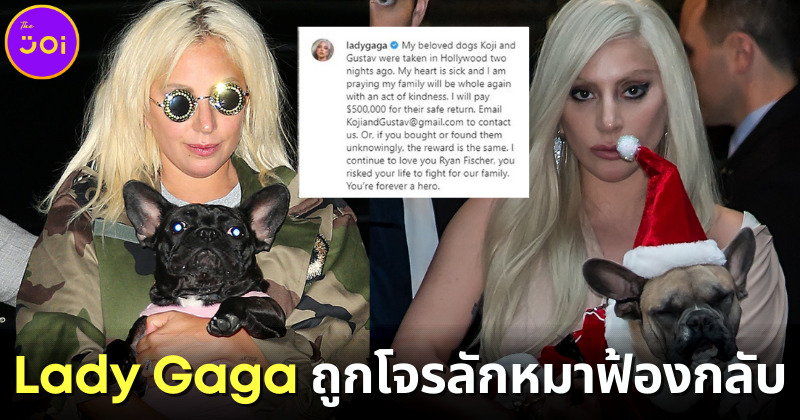"เลดี้ กาก้า (Lady Gaga)" ถูกคนลักพาตัวน้องหมาฟ้องเรียกค่าเสียหาย เพราะไม่ให้เงินรางวัลพบหมา