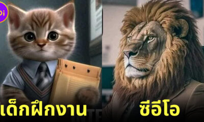ส่อง 12 ภาพสัตว์ตัวแทนตำแหน่งงานต่าง ๆ ในบริษัท โดย Ehab Ahmed Tawfik แล้วเพื่อน ๆ เป็นตัวไหนกันบ้าง?