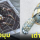 30 ภาพประติมากรรมสัตว์จากเปลือกหอย