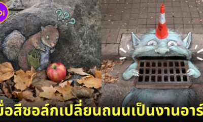 David Zinn ใช้สีชอล์กวาดรูปบนพื้นธรรมชาติเป็นภาพสุดคิวท์