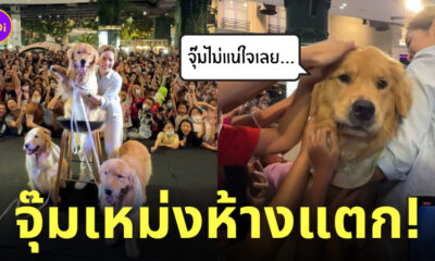 Fleem Template The Joi FBWebsite 1 12
