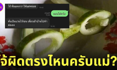 Fleem Template The Joi FBWebsite 3 3