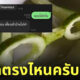 Fleem Template The Joi FBWebsite 3 3