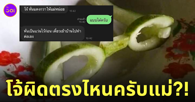 Fleem Template The Joi FBWebsite 3 3