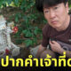 นักท่องเที่ยวทำมือถือหาย อยู่ในศาล