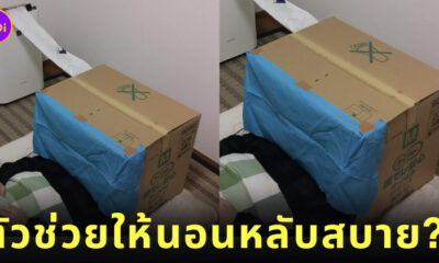 เครื่องฟอกอากาศ สิ่งประดิษฐ์ ญี่ปุ่น