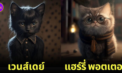 ภาพแมว ตัวละคร หนังดัง AI Dreams