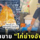 นักปิ้งไก่ในตำนาน ไก่ย่างอังกอร์ กัญจน์ ภักดีวิจิตร