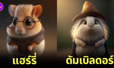 AI แฮมสเตอร์ hamsters แฮร์รี่ พอตเตอร์ harry potter
