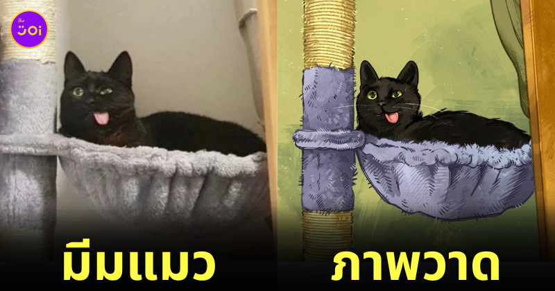 ภาพวาดมีมแมว catwheezie