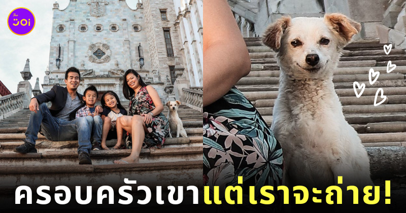 หมาจร ยิ้มหวาน ถ่ายรูปครอบครัว