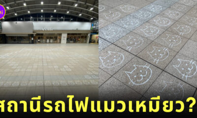 แมวเนียบโปริ วันแมวญี่ปุ่น สถานีรถไฟนิปโปริ Nippori โตเกียว