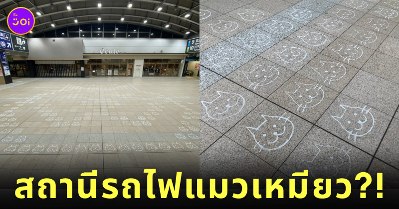 แมวเนียบโปริ วันแมวญี่ปุ่น สถานีรถไฟนิปโปริ Nippori โตเกียว