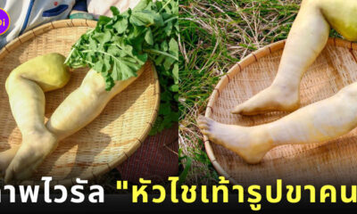 หัวไชเท้ารูปขาคน