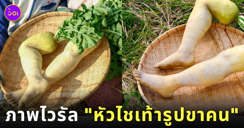 หัวไชเท้ารูปขาคน