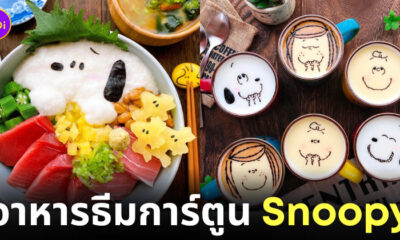 ไอเดียแต่งจานอาหาร ของหวาน ขนม การ์ตูน สนูปี้ Snoopy