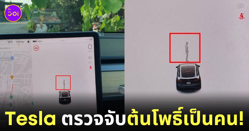 Tesla ตรวจจับต้นโพธิ์เป็นคน