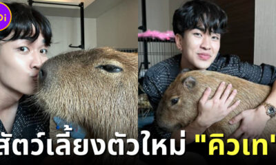 "คิวเทโอปป้า (Kyutae Oppa)" เผยสัตว์เลี้ยงตัวใหม่ “คาปิบาร่า” ชื่อ "ประยุทธ์"