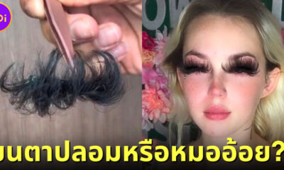 ชาวเน็ตเมนต์แรงใส่สาวอเมริกันหลังต่อขนตาลูกค้าออกมาเหมือนหมออ้อย