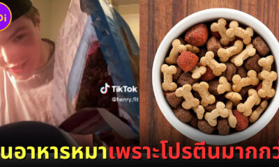 หนุ่มนักกล้ามชาวอเมริกันกินอาหารหมาแทนอาหารคน เพราะได้โปรตีนสูงกว่า-แพทย์เตือนเสี่ยงขาดสารอาหาร