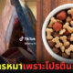 หนุ่มนักกล้ามชาวอเมริกันกินอาหารหมาแทนอาหารคน เพราะได้โปรตีนสูงกว่า-แพทย์เตือนเสี่ยงขาดสารอาหาร