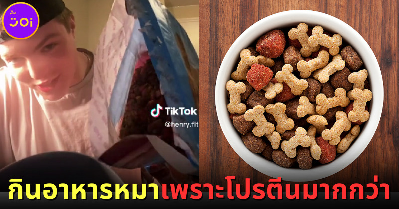 หนุ่มนักกล้ามชาวอเมริกันกินอาหารหมาแทนอาหารคน เพราะได้โปรตีนสูงกว่า-แพทย์เตือนเสี่ยงขาดสารอาหาร