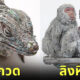 ภาพประติมากรรมสัตว์จากกระดาษหนังสือพิมพ์โดย จิเอะ ฮิโตะสึยามะ (Chie Hitotsuyama)