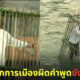 ลงโทษนักการเมืองขังกรงจุ่มน้ำ